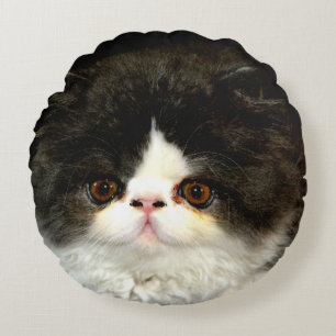 Black and White Kitten Round Pillow