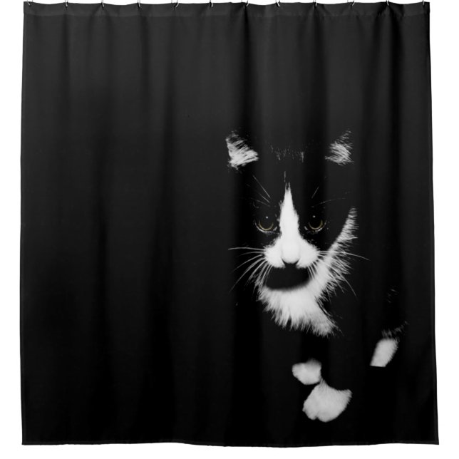 Black and White Kitten Shower Curtain (Front)