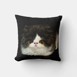 Black and white kitten throw pillow