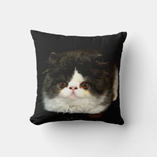 Black and white kitten throw pillow