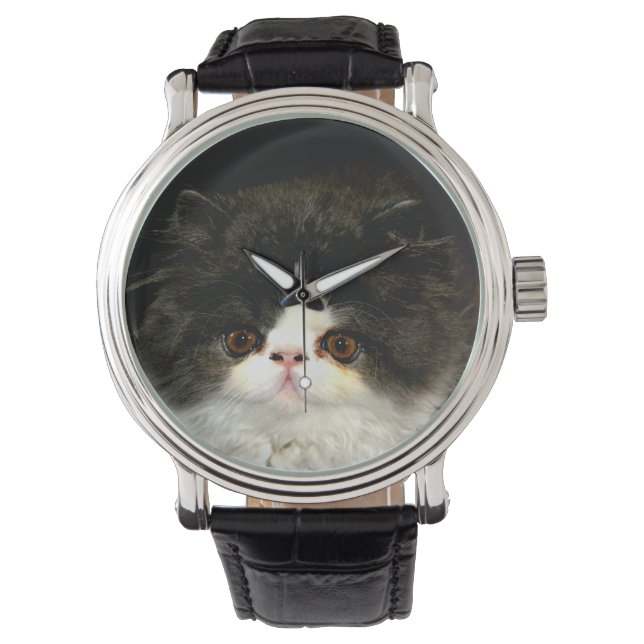 Black and White Kitten Watch (Front)