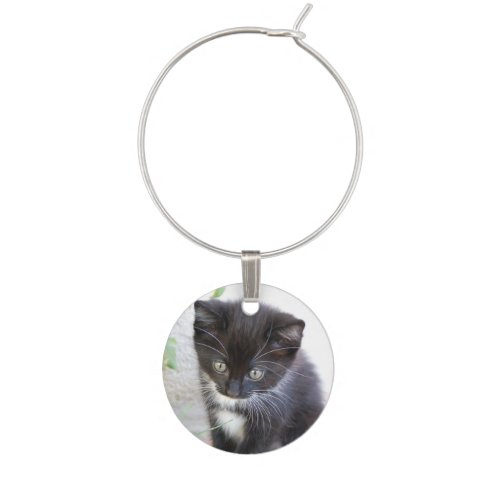 Black and White Kitten Wine Glass Charm