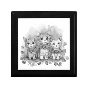 Black and white kittens gift box