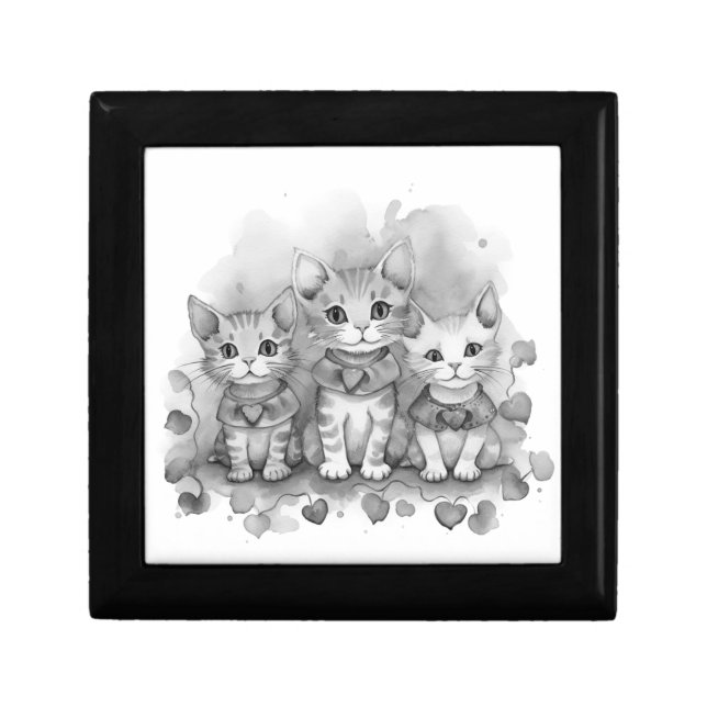 Black and white kittens gift box (Front)