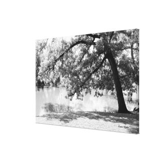 Black and White Landscape Canvas Print