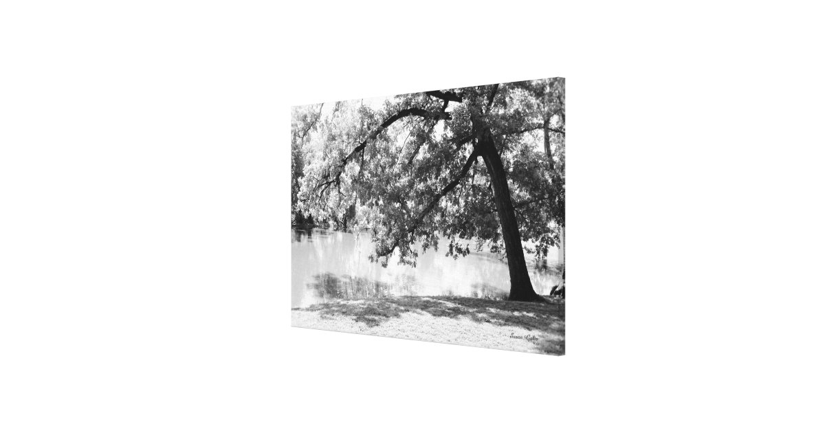Black and White Landscape Canvas Print Zazzle