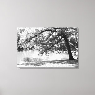 Black and White Landscape Canvas Print