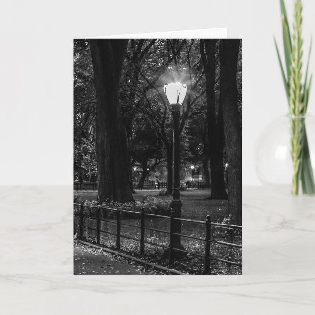 Black and White Landscape Photo of Central Park Card (Front)