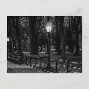Black and White Landscape Photo of Central Park Postcard