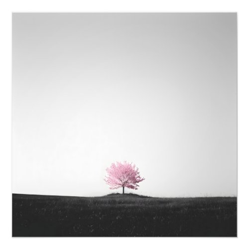 Black and White Landscape Pink Blossom Tree  Photo Print