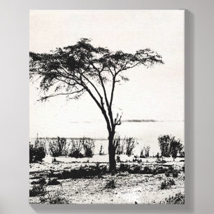 Black and White Landscape Wall Art Canvas Photo Tile