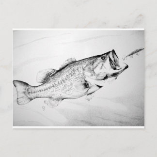 black and white largemouth bass chasing lure. postcard