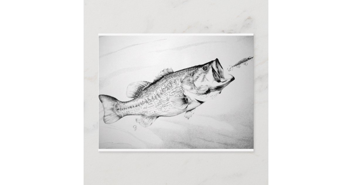 largemouth bass black and white