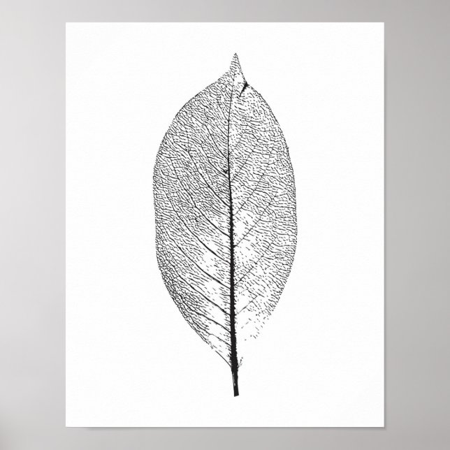 Black and White leaf poster (Front)