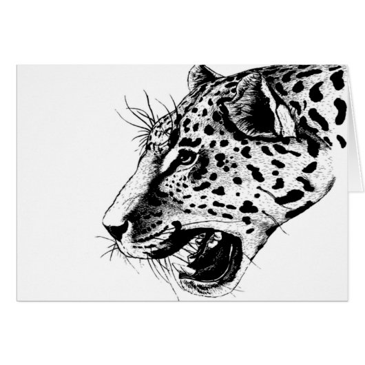 Black And White Leopard Cards (Front Horizontal)