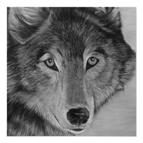black and white lifelike painting ofa gray wolf poster