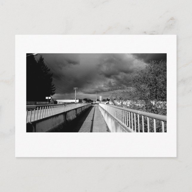 Black and White Light 2 Postcard (Front)