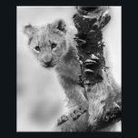 Black And White Lion Cub Photo Print<br><div class="desc">Minimalist Black and White Lion Cub Photo Enlargement Print</div>