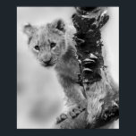Black And White Lion Cub Poster<br><div class="desc">Minimalist Black and White Lion Cub Picture</div>