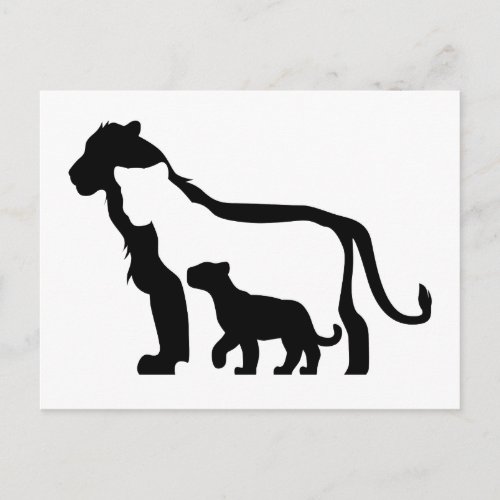 Black and White Lions Postcard