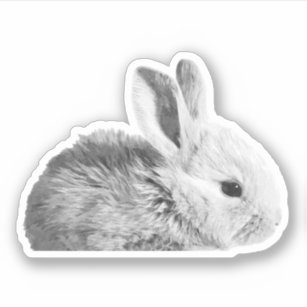 Rabbit Bunny Hare Cute Realistic Drawing Wildlife Animal - Bunny - Sticker