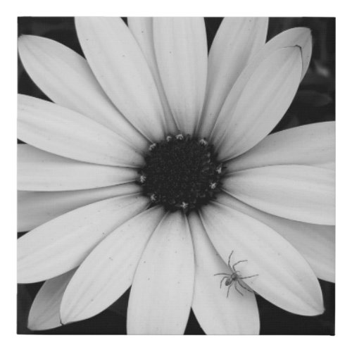 Black and white little spider on flower faux canvas print