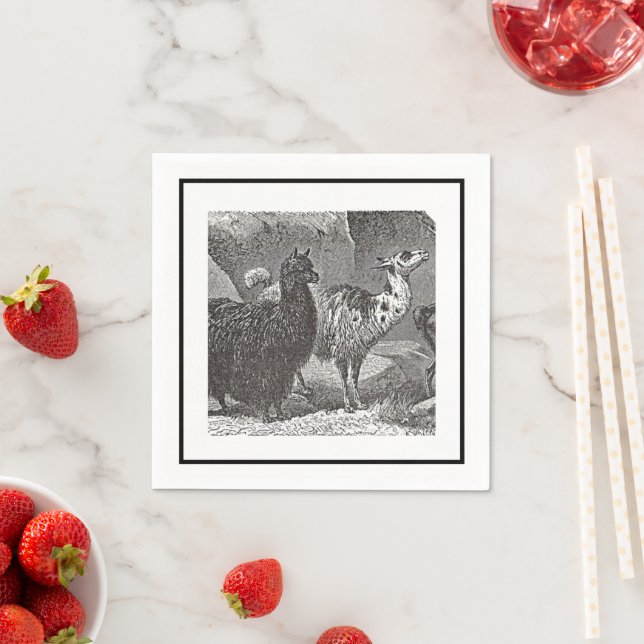 Black and White Llama Alpaca Andes Animal Art Napkins (Insitu)