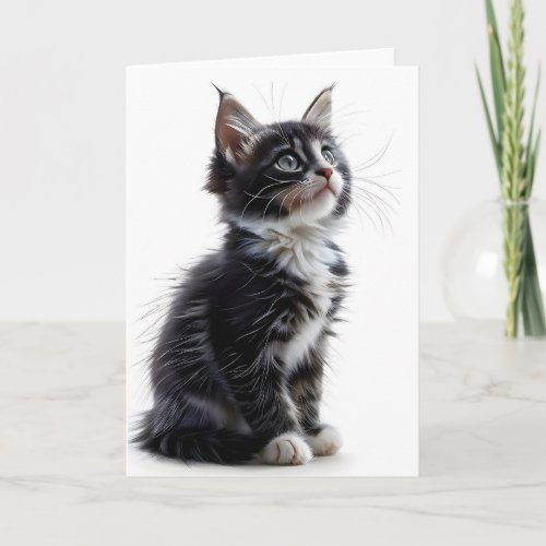 Black and White Long_Hair Cat Blank Greeting Card