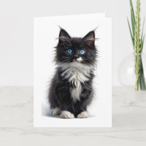 Black and White Long_Haired Cat Blue Eyes Blank Card