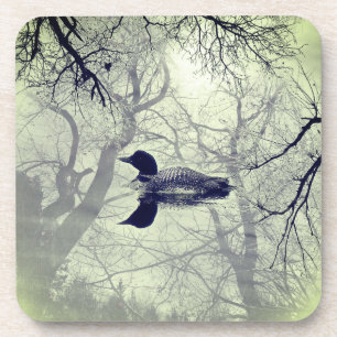 Black and white loon on a lake set of coasters