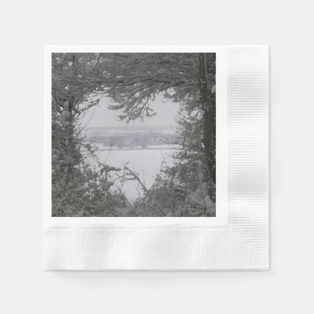 Black and White Love Snow Heart Photo Christmas Paper Napkins (Front)