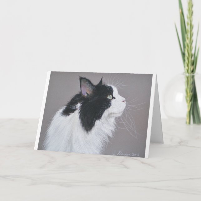 Black and White Maine Coon cat. Card (Front)