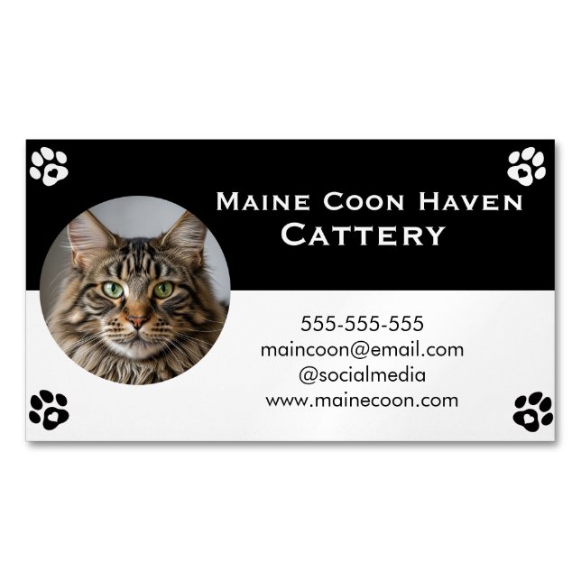 Black and White Maine Coon Customizable  Business Card Magnet (Front)