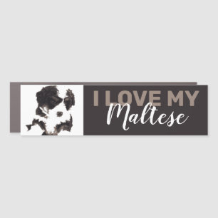 Black and White Maltese Puppy Dog Car Magnet