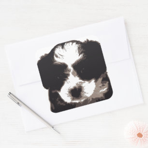 Black and White Maltese Puppy Dog Square Sticker