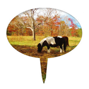 Black and White Miniature Pony / Horse Cake Topper