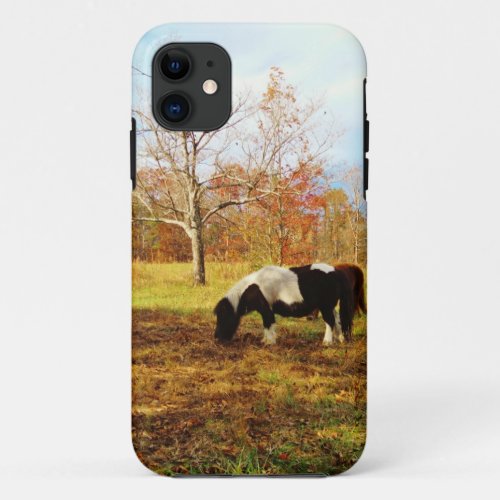 Black and White Miniature Pony  Horse iPhone 11 Case