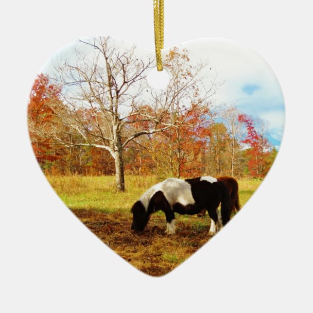 Black and White Miniature Pony / Horse Ceramic Ornament (Front)