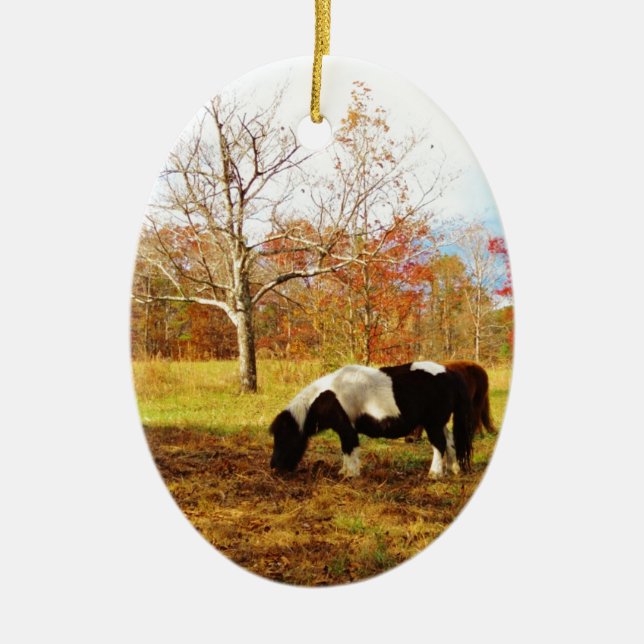 Black and White Miniature Pony / Horse Ceramic Ornament (Front)