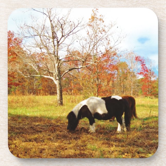 Black and White Miniature Pony / Horse Coaster (Front)
