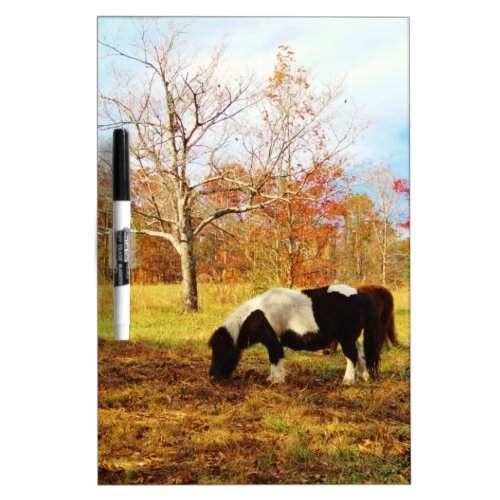 Black and White Miniature Pony  Horse Dry Erase Board