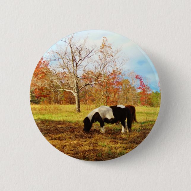 Black and White Miniature Pony / Horse Pinback Button (Front)
