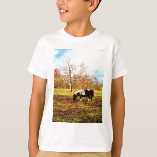 Black and White Miniature Pony  Horse T_Shirt