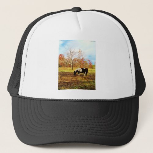 Black and White Miniature Pony  Horse Trucker Hat