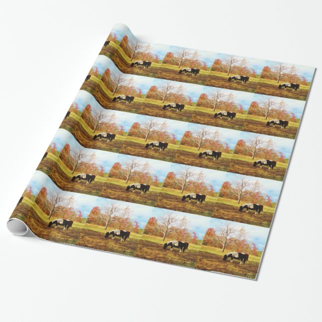 Black and White Miniature Pony / Horse Wrapping Paper (Unrolled)