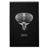 Black and White minimalist Insects - Bugs 2021 Calendar (Cover)