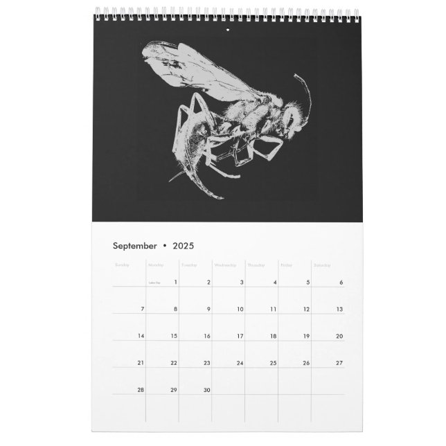 Black and White minimalist Insects - Bugs 2021 Calendar (Sep 2025)