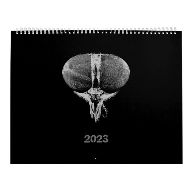 Black and White minimalist Insects - Bugs 2023 Calendar (Cover)