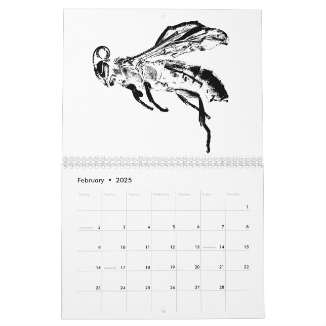 Black and White minimalist Insects - Bugs 2023 Calendar (Feb 2025)