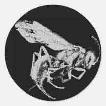 Black and White minimalist Style Insects Bugs Bees